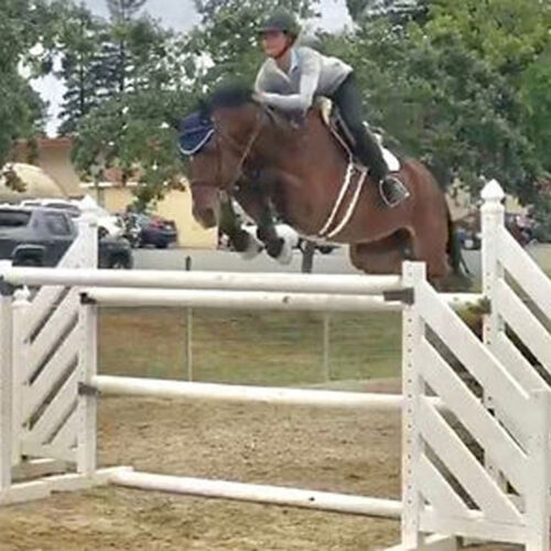 Belmont Archive Photos06