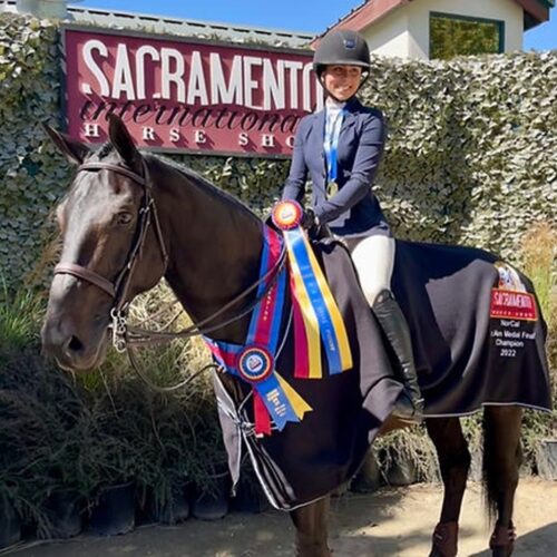 Horse Training Services in Watsonville, CA