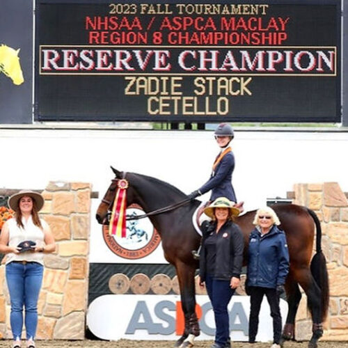 Belmont Equitation Photos11