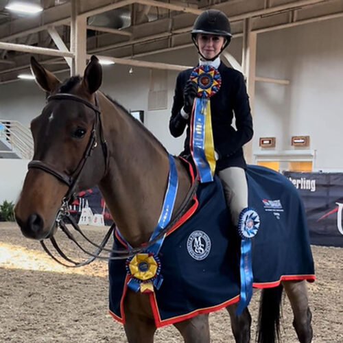 Belmont Equitation Photos12