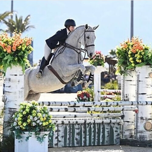 Belmont Equitation Photos15