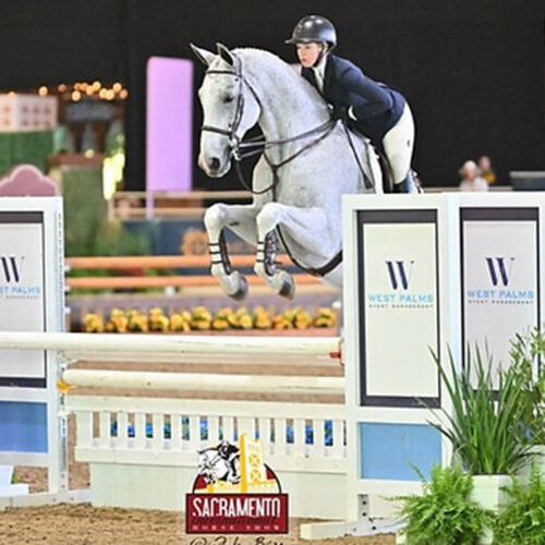 Belmont Equitation Photos16