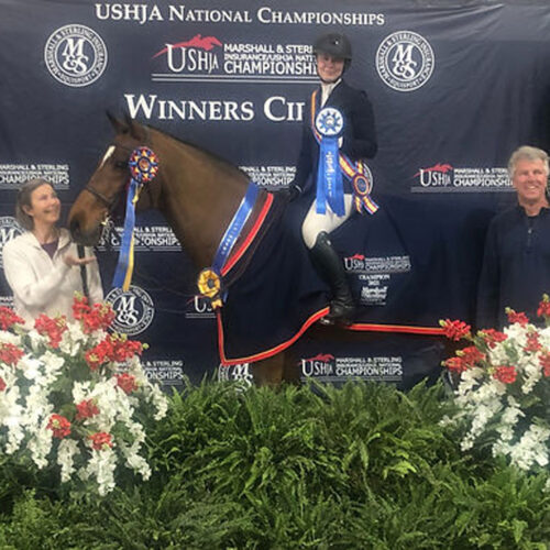 Belmont Equitation Photos19