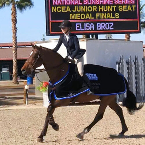 Belmont Equitation Photos23