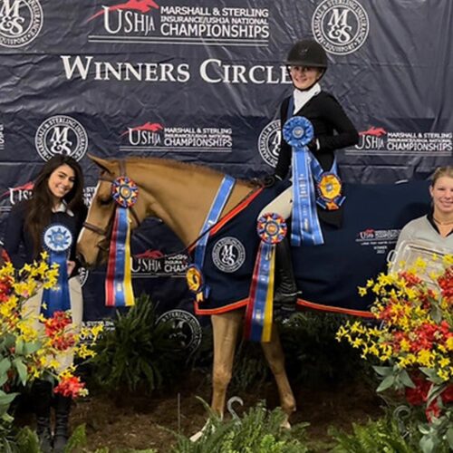 Belmont Hunters And Ponies Photos06