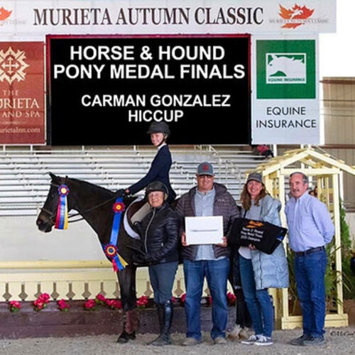 Belmont Hunters And Ponies Photos12