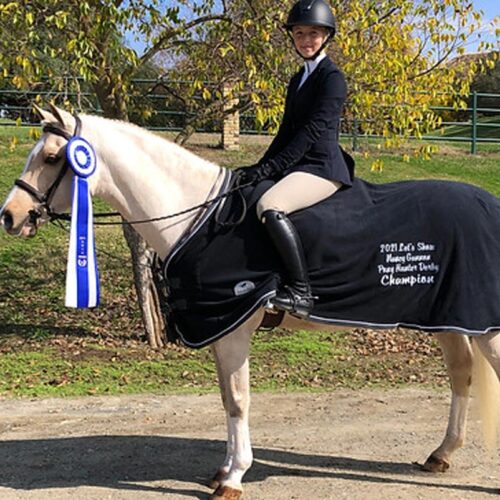 Belmont Hunters And Ponies Photos14