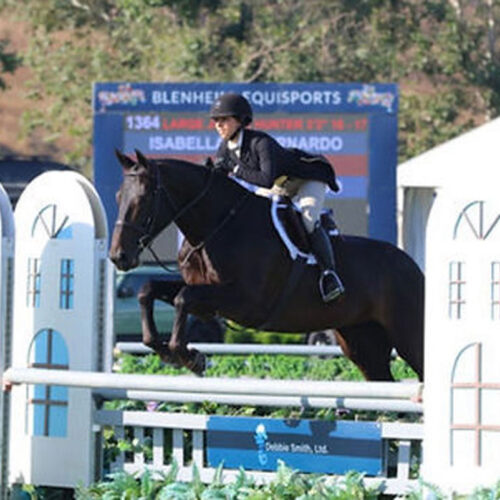 Belmont Hunters And Ponies Photos17