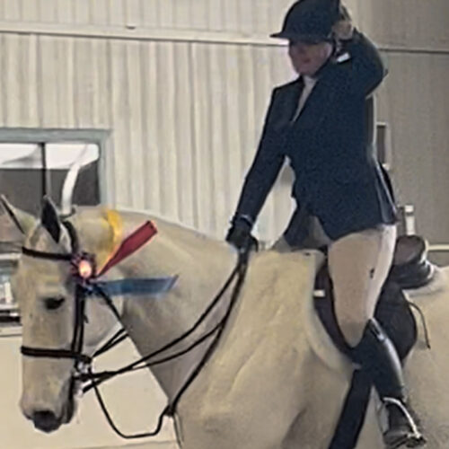 Belmont Hunters And Ponies Photos18