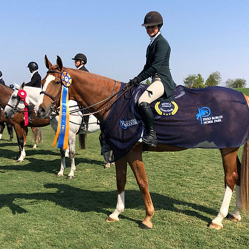 Belmont Hunters And Ponies Photos20