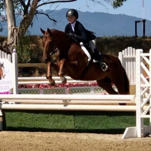 Belmont Hunters And Ponies Photos22