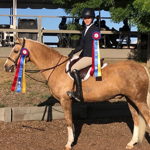 Belmont Hunters And Ponies Photos24