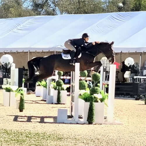Horse Riding Lessons in Watsonville, CA